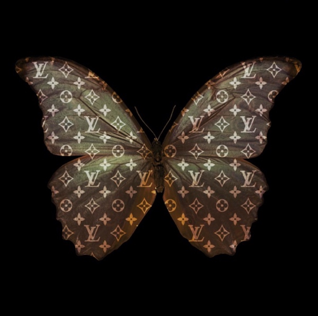 Butterfly Louis Vuitton - Imperial Furniture